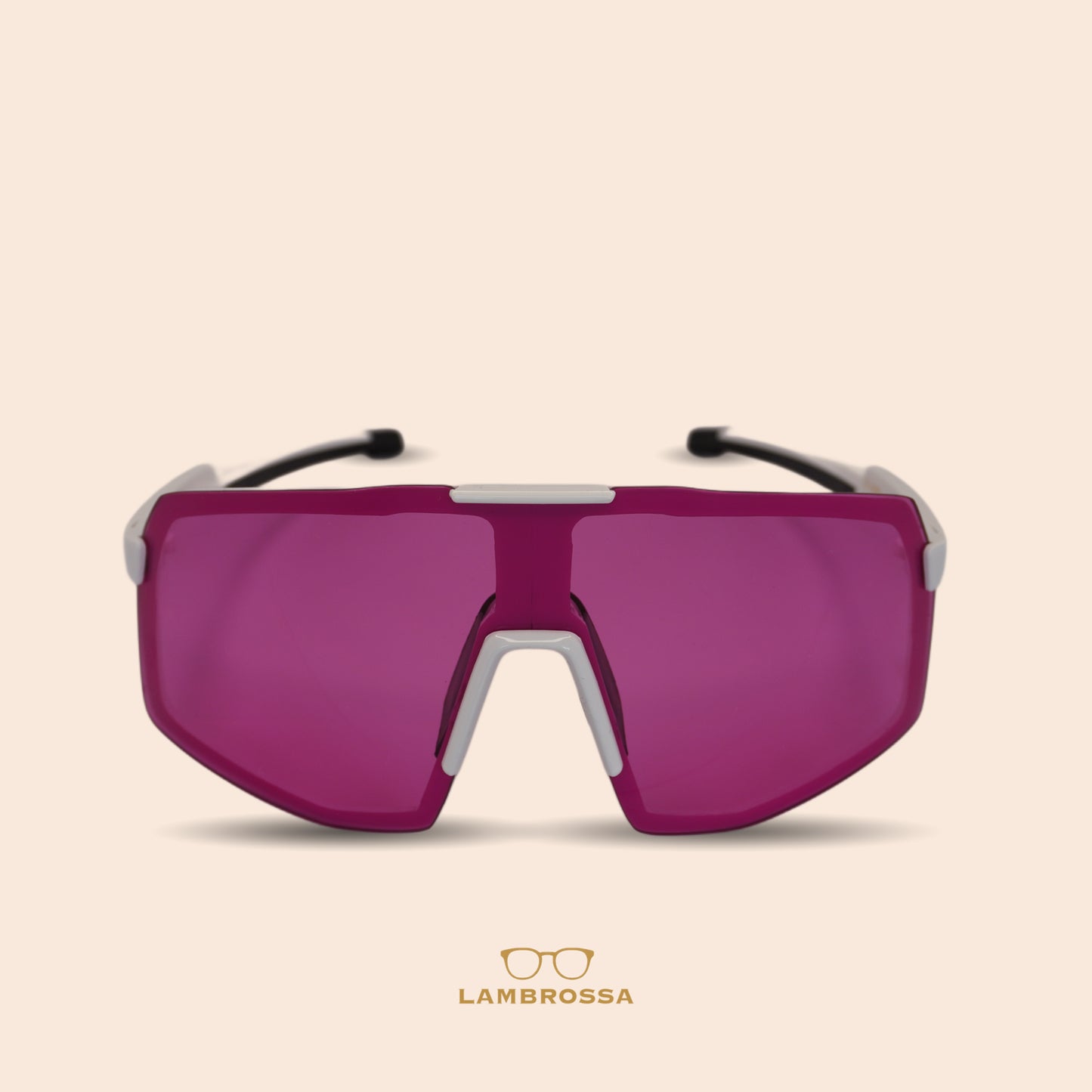 VisionX