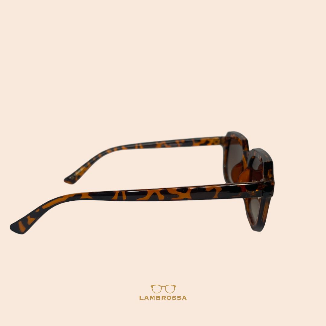 Cheetah Vision